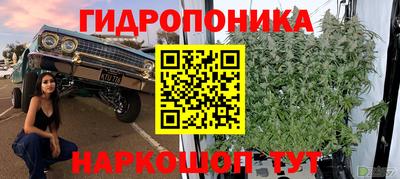 тгк Заводоуковск
