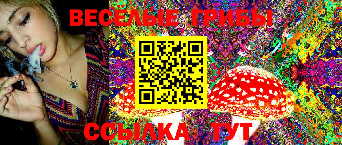 Чехов  Псилоцибиновые грибы MAGIC MUSHROOMS  Галлюциногенные грибы мицелий  Вход с VPN 