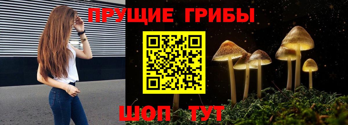 Галлюциногенные грибы Cubensis Чехов